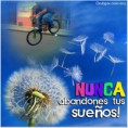 /album/yop/a376318-311296695548731-100000052103729-1363707-610140995-n-jpg1/